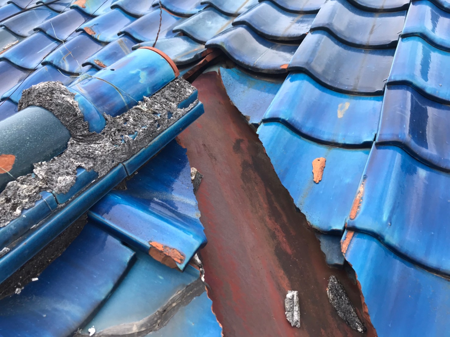 ブルーシート養生